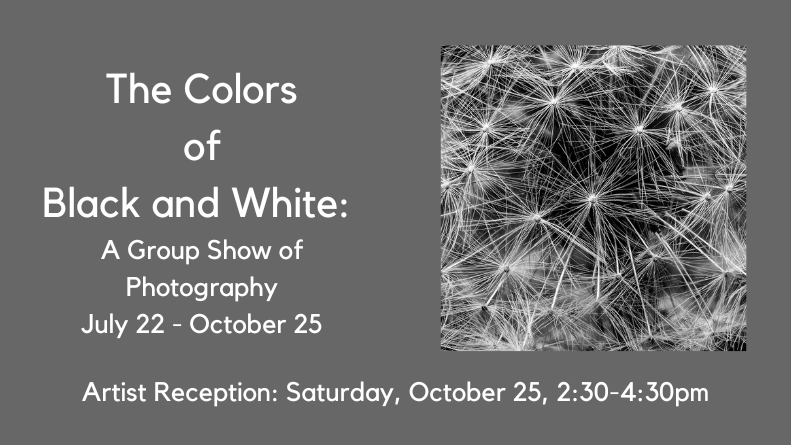 Colors of Black and White