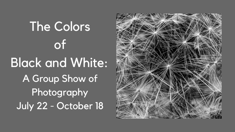Colors of Black and White