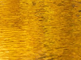 Autumn Abstract #1