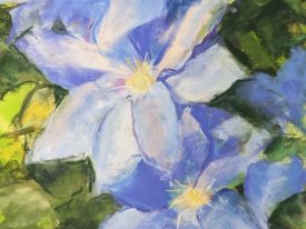 Kathleen Phelps, Clematis